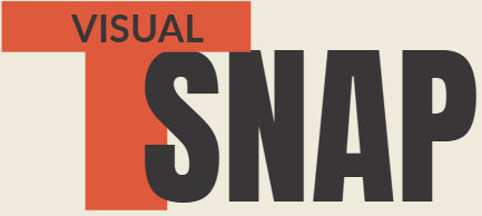 the visual snap